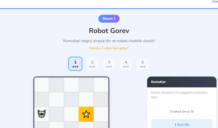 Robot Görev